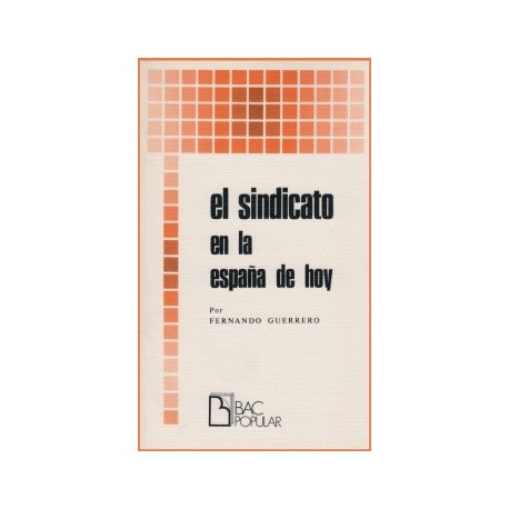 El sindicato en la España de hoy