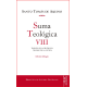 Suma teológica. VIII: 2-2 q. 47-79