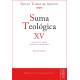 Suma teológica. XV: Sup. q.34-68