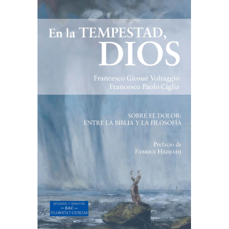 En la tempestad, Dios. Sobre el dolor: entre la Biblia y la filosofía